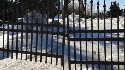 February Quick Scout - 20140222_121346.jpg