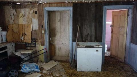 Feb 2014 - DSC01128.jpg