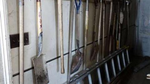 Feb 2014 - DSC01204.jpg