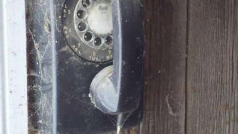 Feb 2014 - DSC01210.jpg