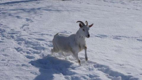 Feb 2014 - DSC01233.jpg