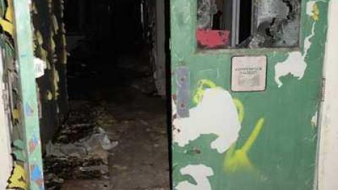 Feb 2014 - DSC09893.jpg