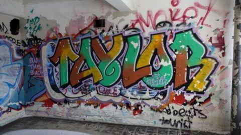 Feb 2014 - DSC09938.jpg