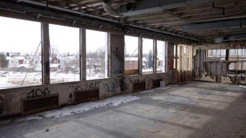 Feb 2014 - DSC09943.jpg