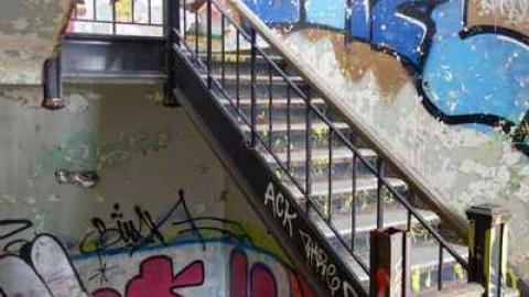 Feb 2014 - DSC09952.jpg