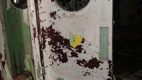 Feb 2014 - DSC09970.jpg