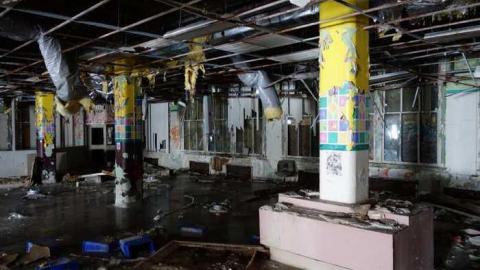 Feb 2014 - DSC09980.jpg