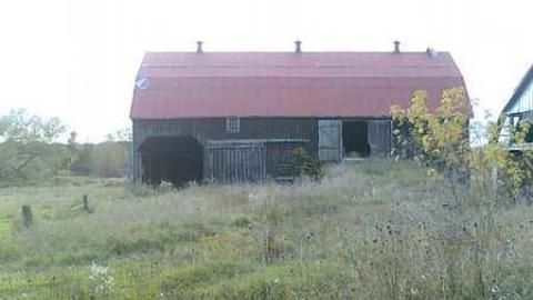 I wish - David Hikes Oct 10 036.jpg