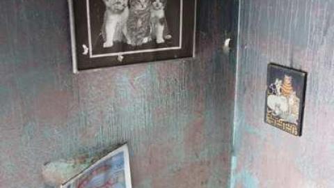 Feb 2014 - 3-X-27--8197.jpg