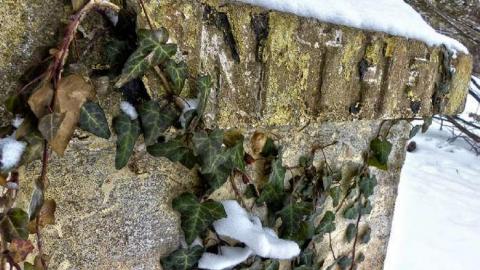 Anthens Beach Threesome - Anthes-Beach-Houses13.jpg