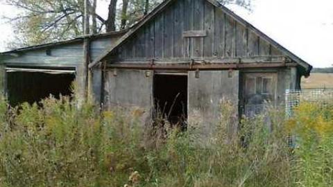 I wish - David Hikes Oct 10 038.jpg