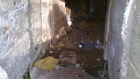 I wish - David Hikes Oct 10 039.jpg