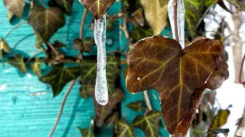 Anthens Beach Threesome - Anthes-Beach-Houses119.jpg