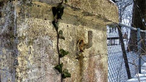 Anthens Beach Threesome - Anthes-Beach-Houses121.jpg