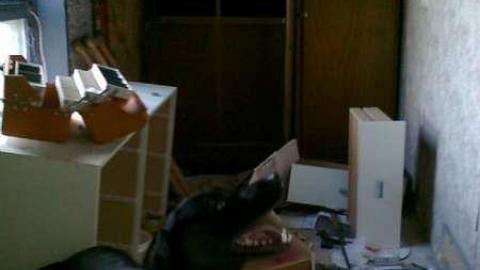 I wish - David Hikes Oct 10 044.jpg