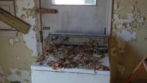 Feb 2014 - House-with-a-View105.jpg