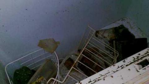 I wish 3 - David Hikes Oct 10 063.jpg