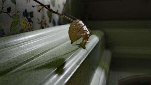 Wilson Farm House photo 2