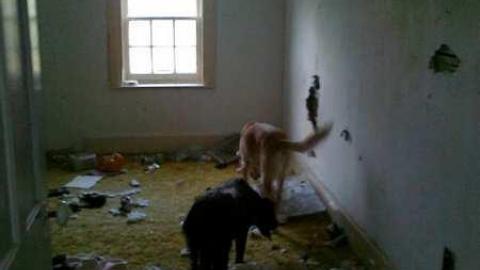 I wish 3 - David Hikes Oct 10 071.jpg