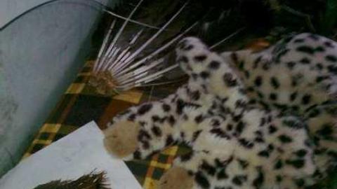 I wish 3 - David Hikes Oct 10 075.jpg