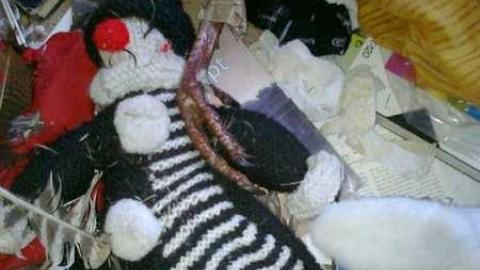 I wish 3 - David Hikes Oct 10 076.jpg