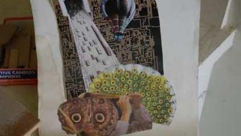 Feb 2014 - DSC00535.jpg