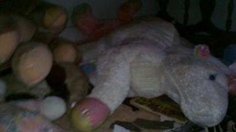 I wish 3 - David Hikes Oct 10 077.jpg