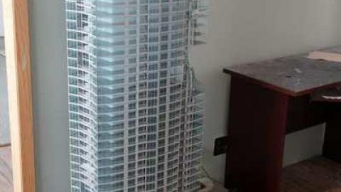 Feb 2014 - DSC00572.jpg