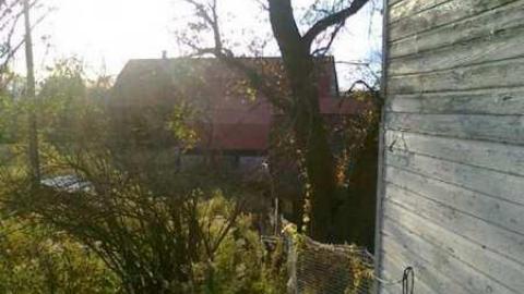 I wish 3 - David Hikes Oct 10 082.jpg