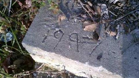 I wish 3 - David Hikes Oct 10 083.jpg