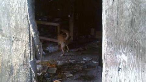 I wish - David Hikes Oct 10 084.jpg