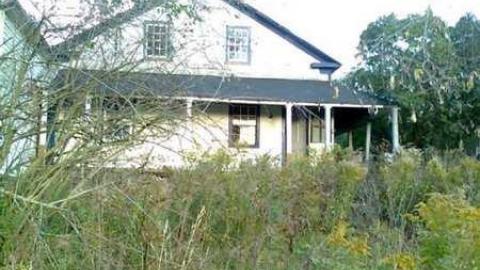 I wish - David Hikes Oct 10 092.jpg