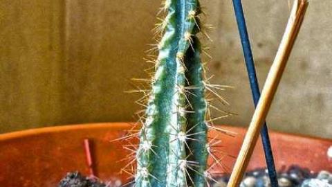 Nothing Remains - 6.jpg