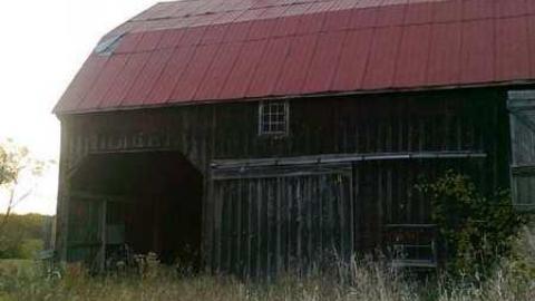 I wish - David Hikes Oct 10 094.jpg