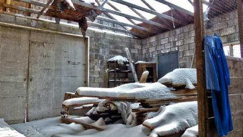 Nothing Remains - 11.jpg