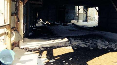 Farmers Market - dfimage.jpg