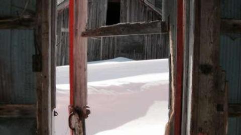 Farmers Market - ioimage.jpg