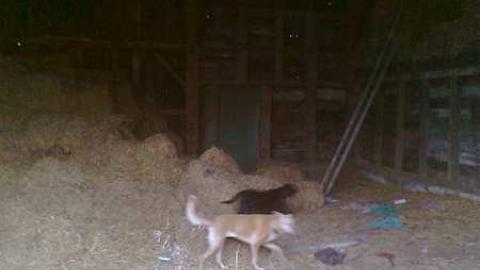 I wish 2 - David Hikes Oct 10 096.jpg