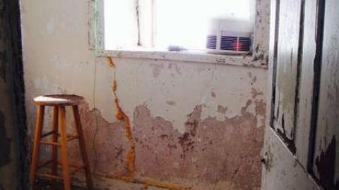 Farmers Market - onimage.jpg