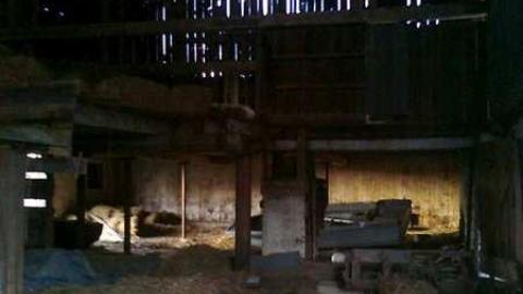 I wish 2 - David Hikes Oct 10 097.jpg