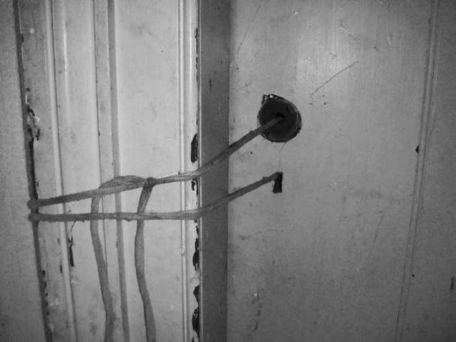 Farmers Market - Mono, Ontario