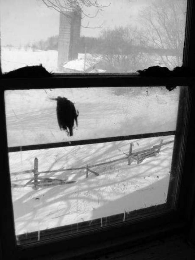 Farmers Market photo 4