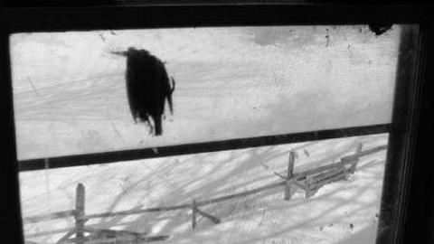 Farmers Market photo 4