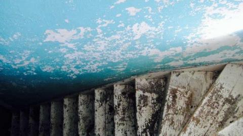 Farmers Market - eoimage.jpg