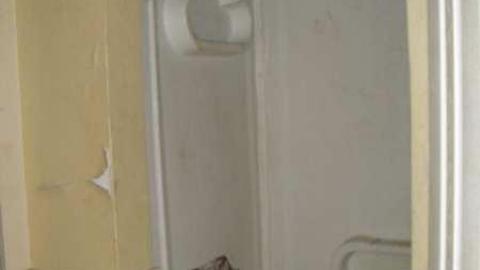 The Whole Shebang - Unlucky-728.jpg