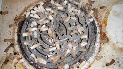 The Whole Shebang - Unlucky-756.jpg