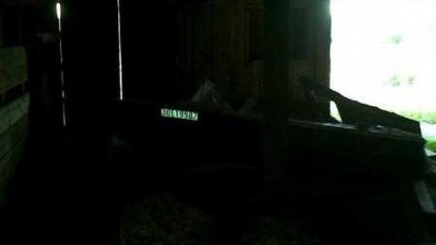 I wish 2 - David Hikes Oct 10 099.jpg