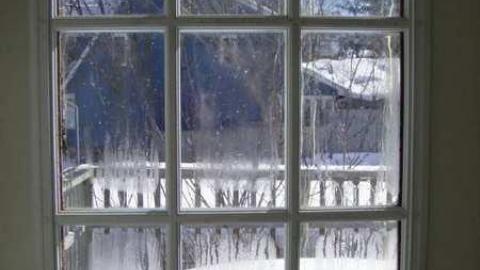 Photo from The Whole Shebang