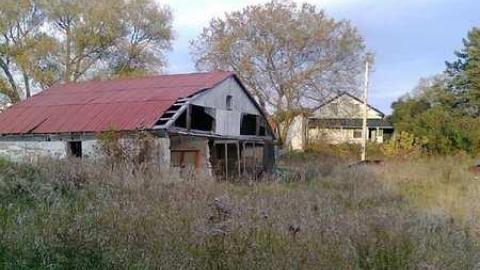 I wish 2 - David Hikes Oct 10 105.jpg