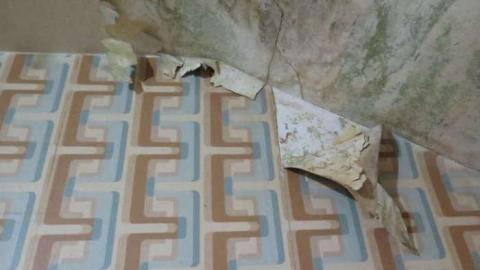 Photo from Love Thy Neighbor 